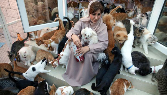 ৪৮০টি বিড়াল ও ১২টি কুকুরের আশ্রয়দাতা