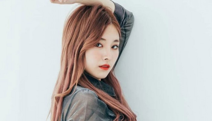 ​পপ তারকা থেকে নীলছবির নায়িকা শেউন ঘা