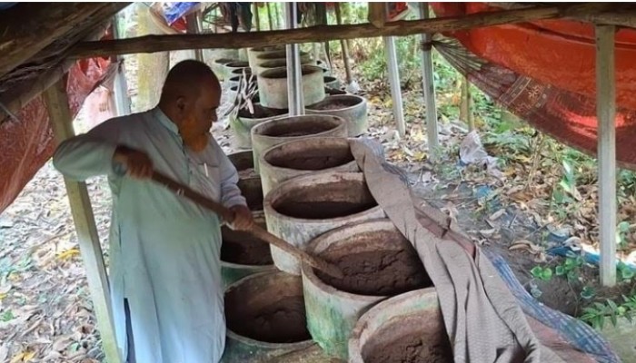 সাতক্ষীরায় ভার্বি কম্পোস্ট সার উৎপাদনে আব্দুল মালেকের সাফল্য