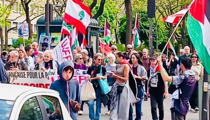 প্যারিসের রাস্তায় ফিলিস্তিনের প্রতি সংহতি জানিয়ে গণবিক্ষোভ